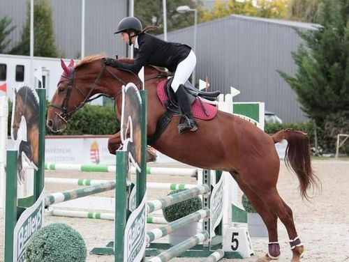 Siker a Diákolimpiai selejtezőn